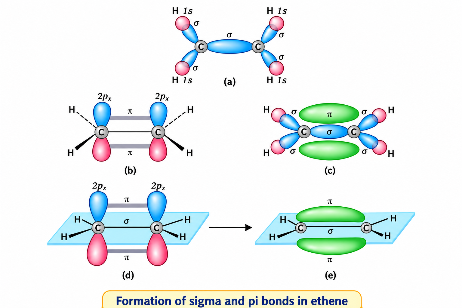 Fig 4.15 Formation of Sigma and Pi Bonds in Ethene
